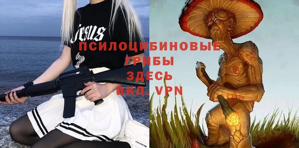 хмурый Богородицк